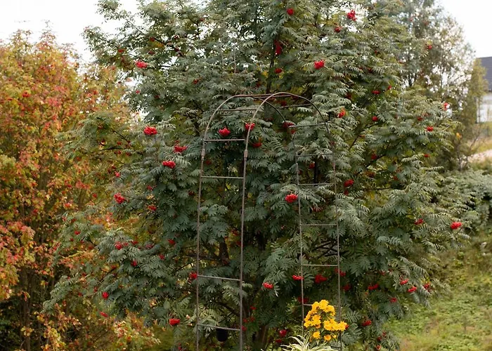 Stylove 1 Prázdninový dům *